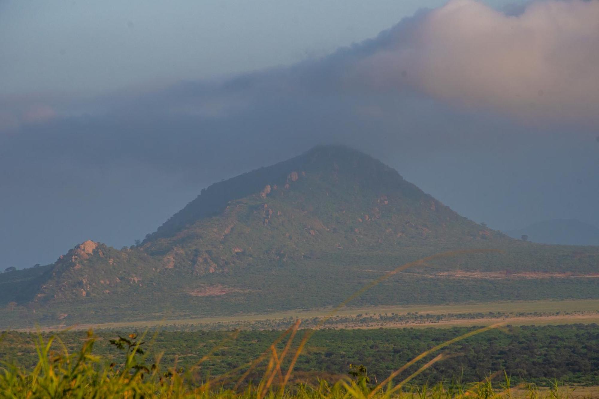 Voi Safari Lodge Εξωτερικό φωτογραφία