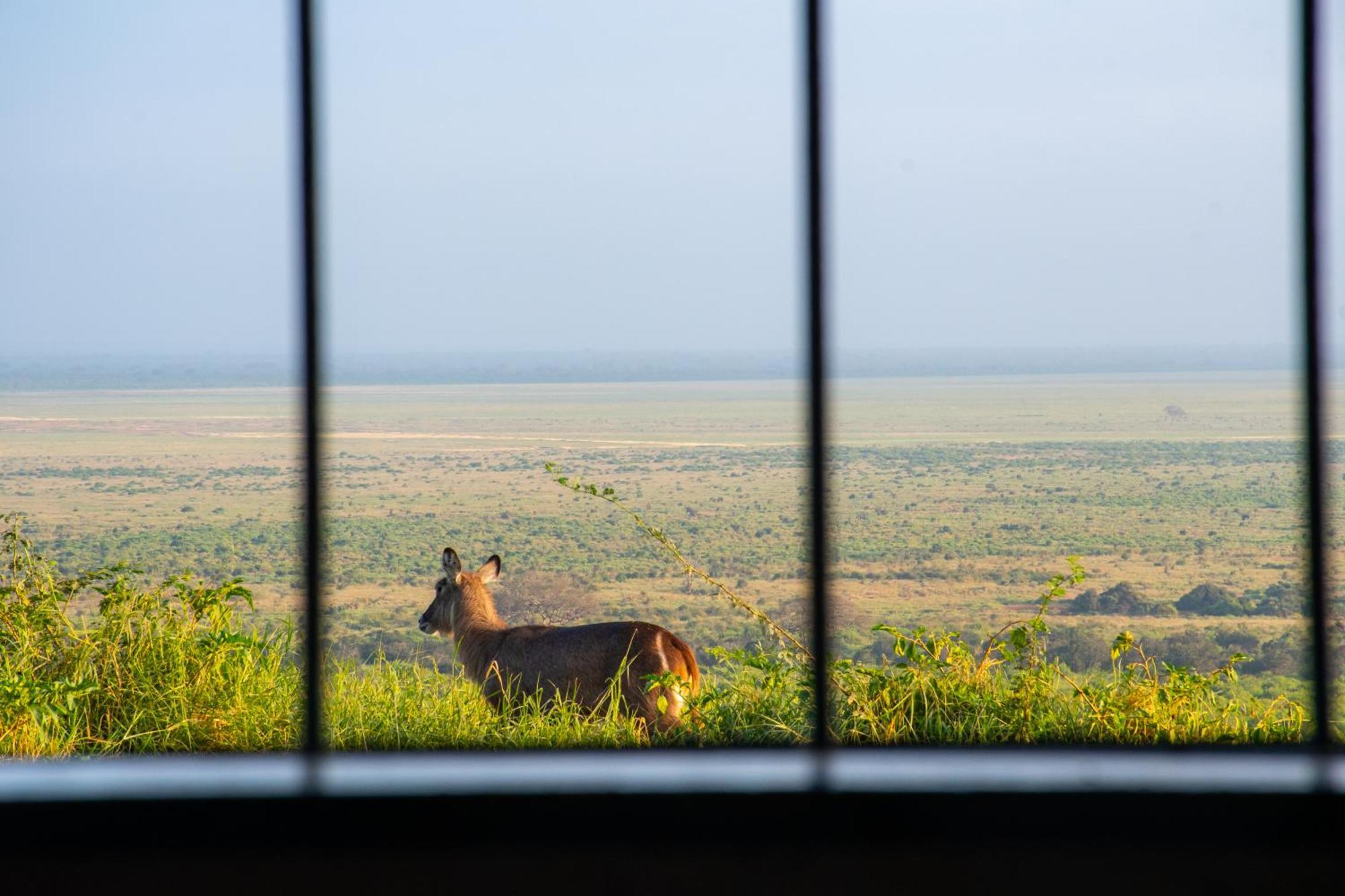 Voi Safari Lodge Εξωτερικό φωτογραφία