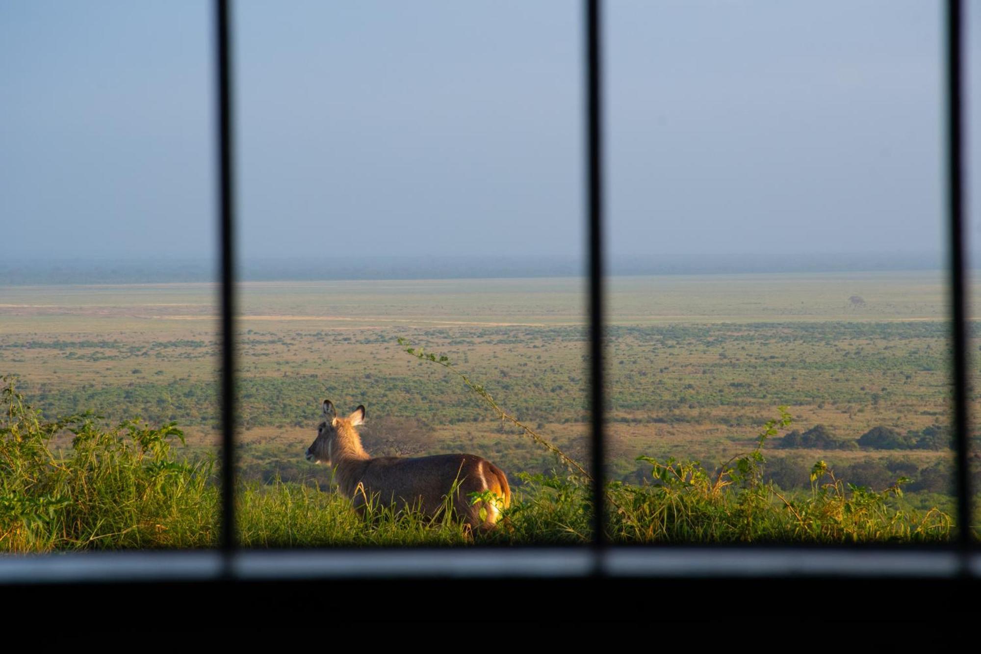 Voi Safari Lodge Εξωτερικό φωτογραφία