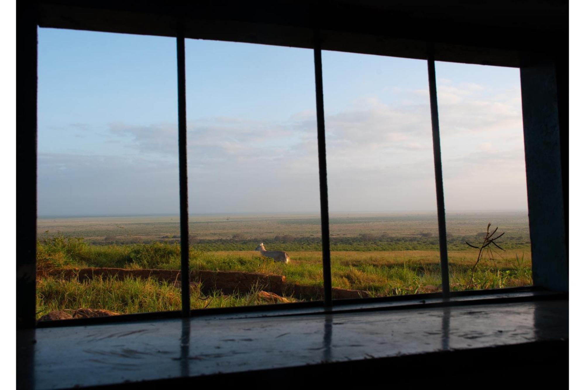 Voi Safari Lodge Εξωτερικό φωτογραφία